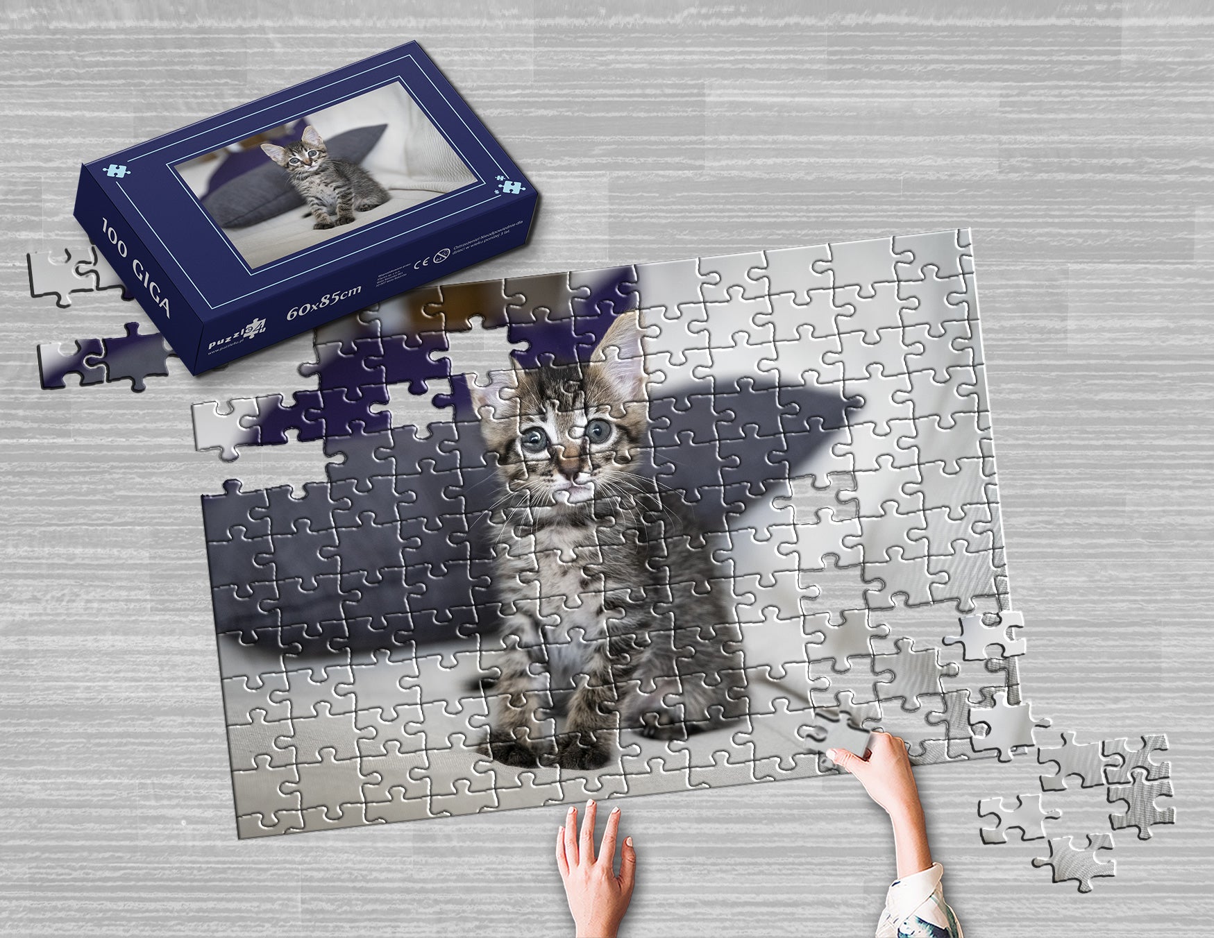 2a8ffabc3e609558a5bb3d70d2e4f093