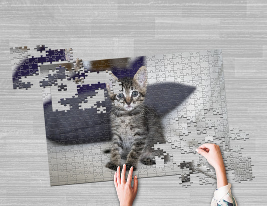 Foto puzzle 260 dílků 40 x 60 cm v sáčku