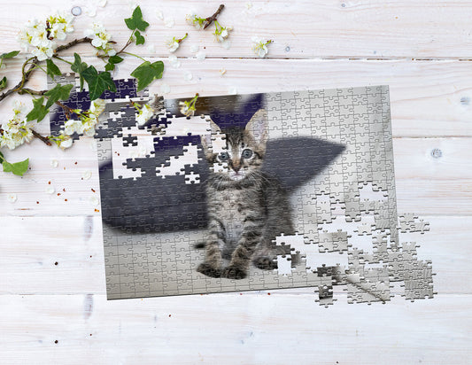 Photo puzzle 300 pieces  40 x 60 cm / 15.7 x 23.6 inches in a bag