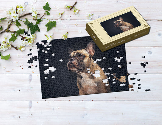 Photo puzzle 500 pieces 33 x 47 cm / 12.9 x 18.5 inches in a box